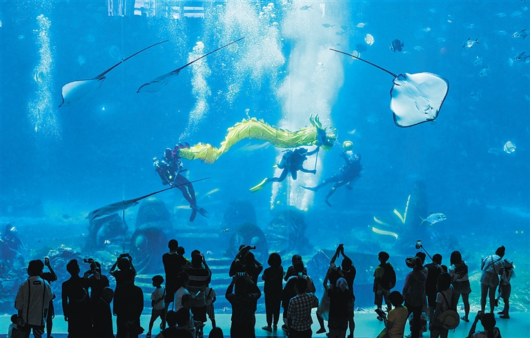 春节期间，三亚·亚特兰蒂斯酒店的水下舞龙表演，引得游客驻足观赏。记者 王凯 摄.jpg