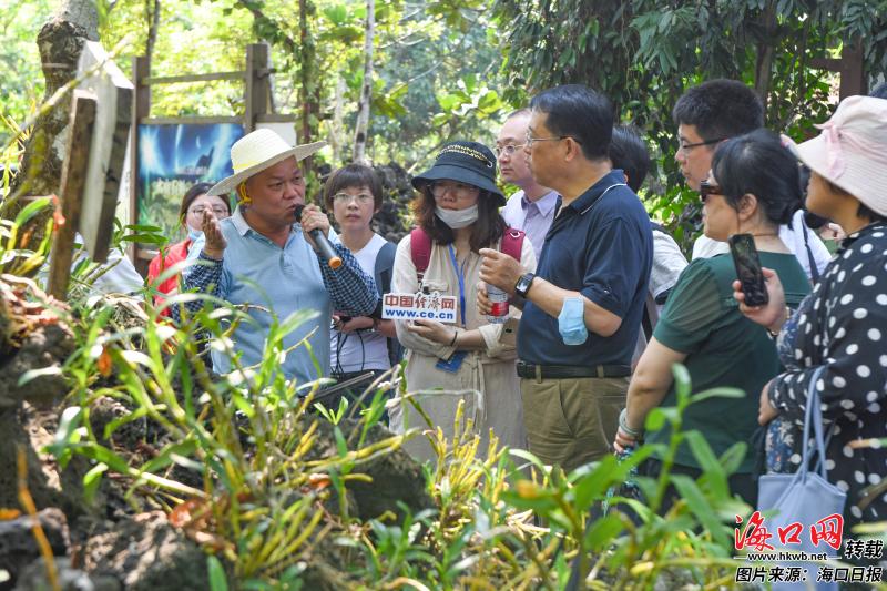 游客参观施茶村石斛园，了解石斛产业发展。记者 王程龙 摄.jpg