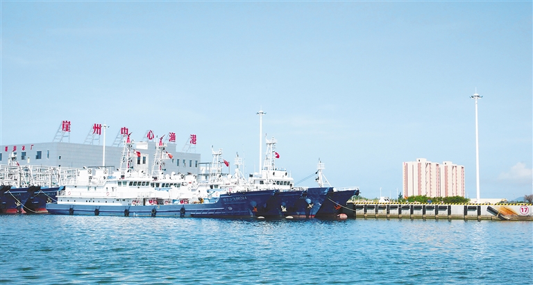 三亚崖州中心渔港。 记者 武威 摄