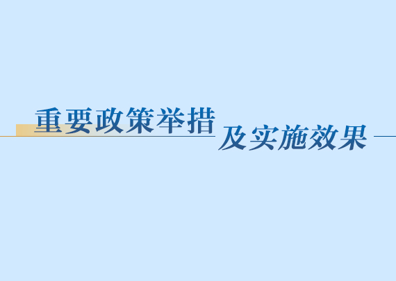 重要政策举措及实施效果