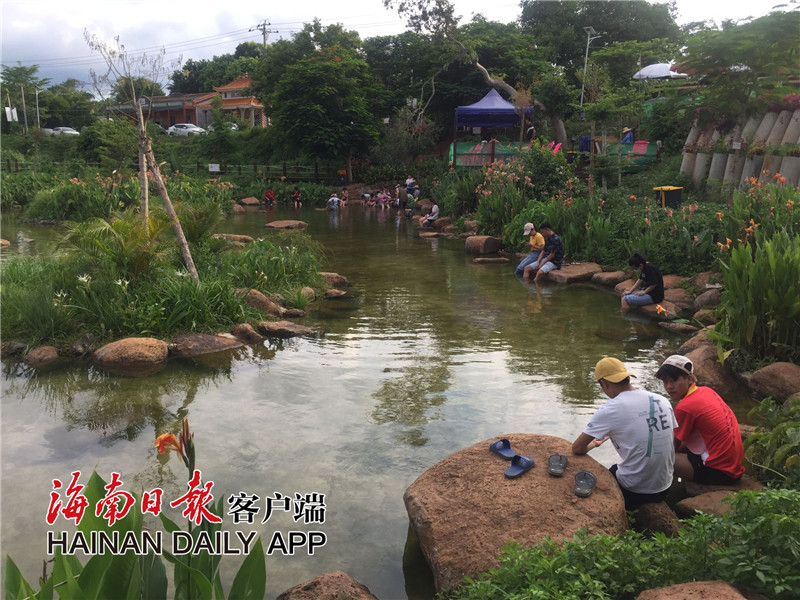 临高波莲镇美鳌村冷泉鱼疗引客来津津有味吃起旅游饭