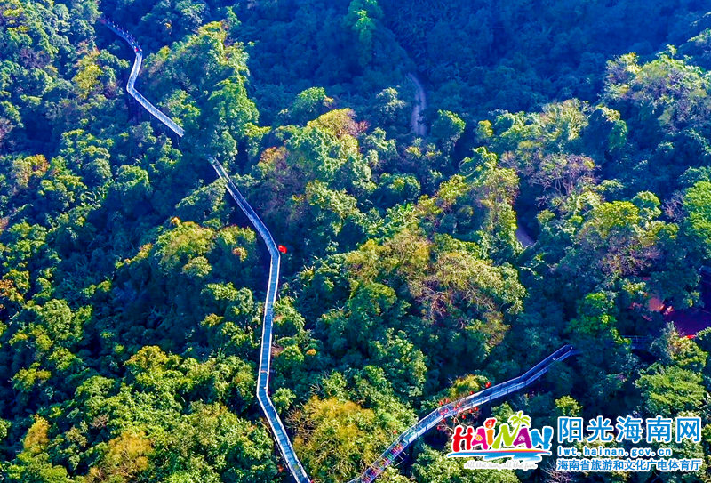 航拍百花岭景区新品树梢栈道