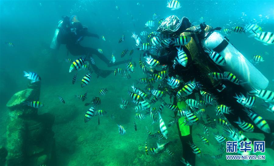 由教练带领的潜水爱好者在海南省分界洲岛附近海域下潜。
