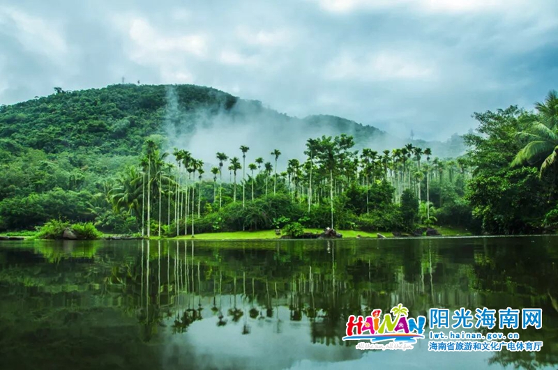 海南呀诺达雨林文化旅游区.jpg