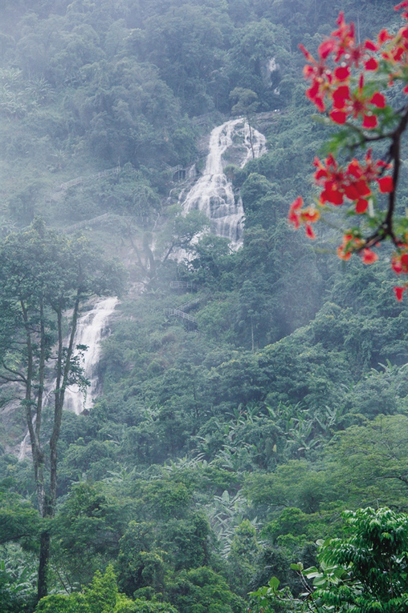 要闻动态 旅游文化  海南百花岭热带雨林文化旅游区位于海南琼中黎族