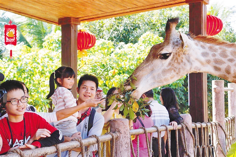 游客在海南热带野生动植物园游玩 熊丽 摄.jpg