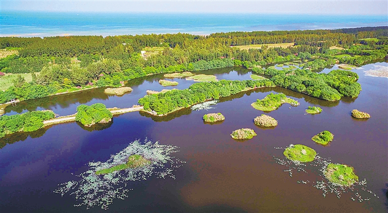 海尾湿地公园图片